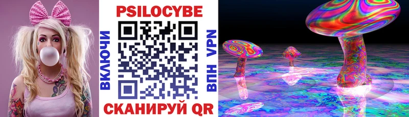 Псилоцибиновые грибы Psilocybe  Кемерово 